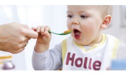 Holle Organic Baby Porridge/Cereals
